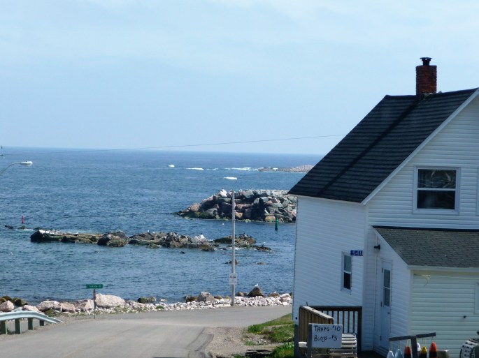 P1130508