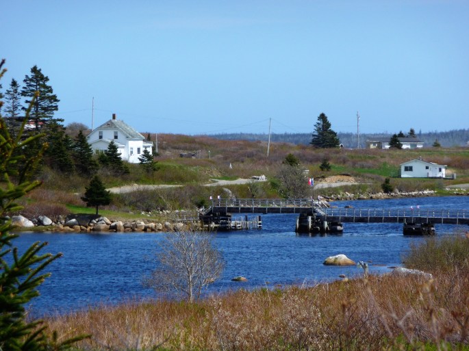 P1130578