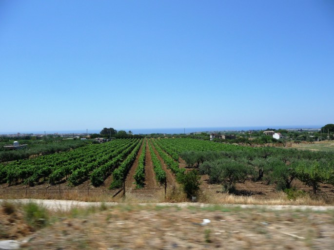 P1140995