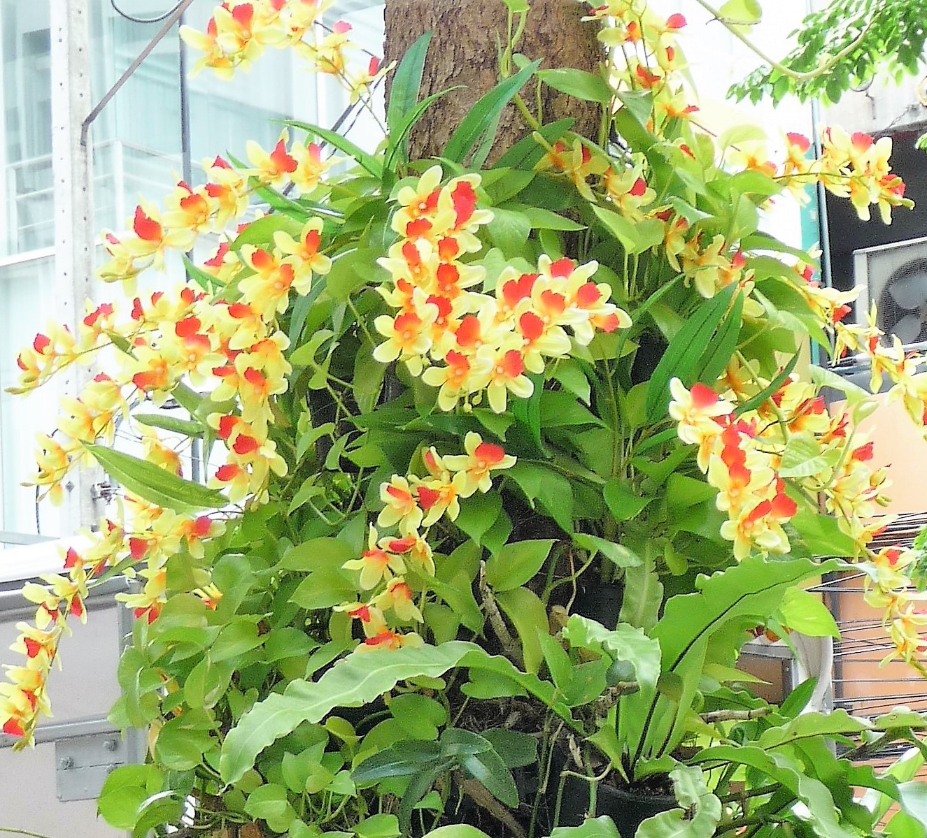 P1150782