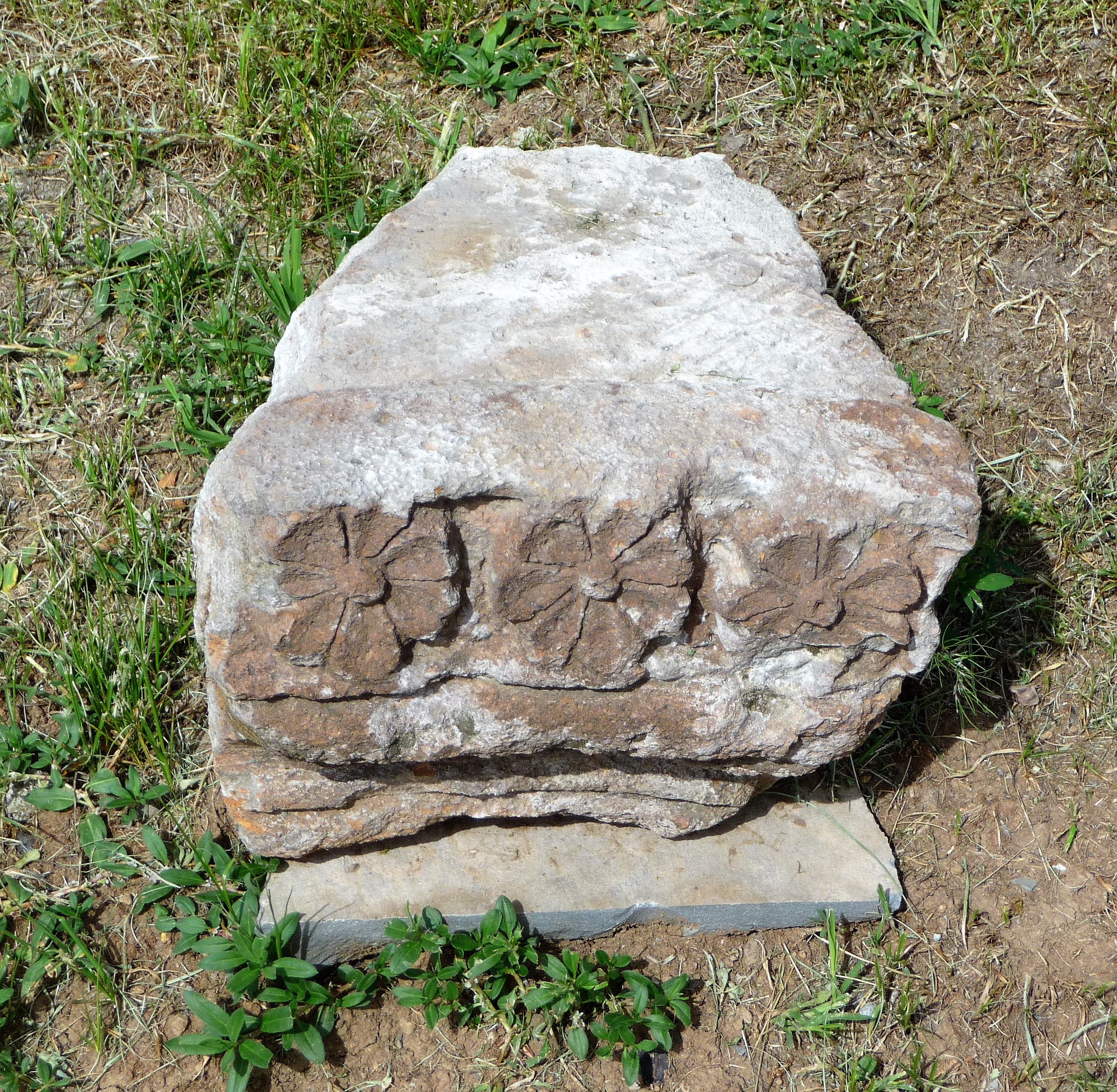 P1190064
