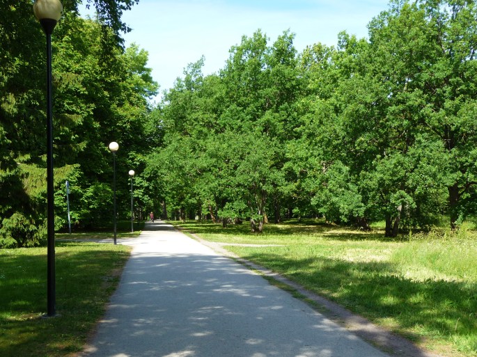 P1210037