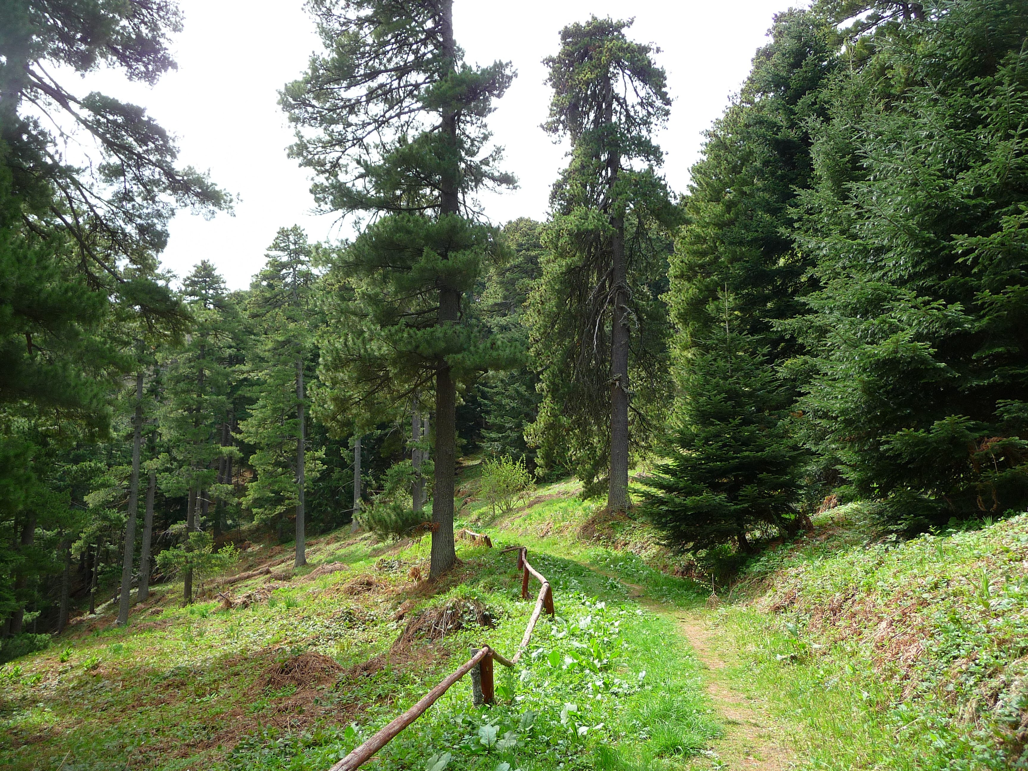 P1250235