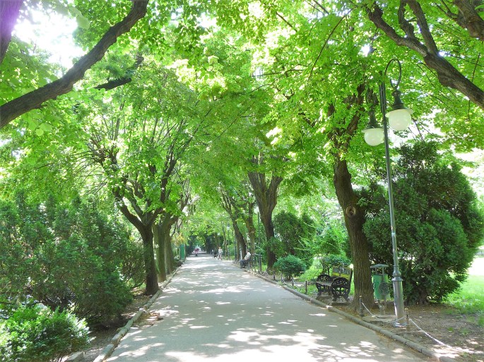 P1250769